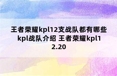 王者荣耀kpl12支战队都有哪些kpl战队介绍 王者荣耀kpl12.20